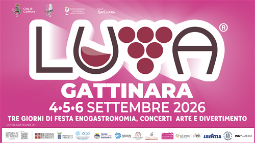LUVAÂ® 2026: disposizioni per la sicurezza e lincolumità pubblica